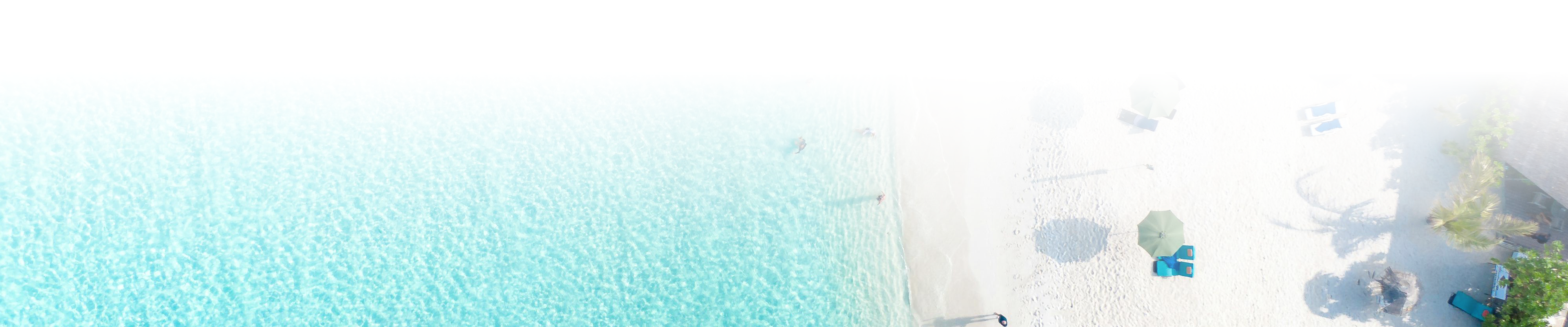 pexels asadphoto 28408490 copia 1